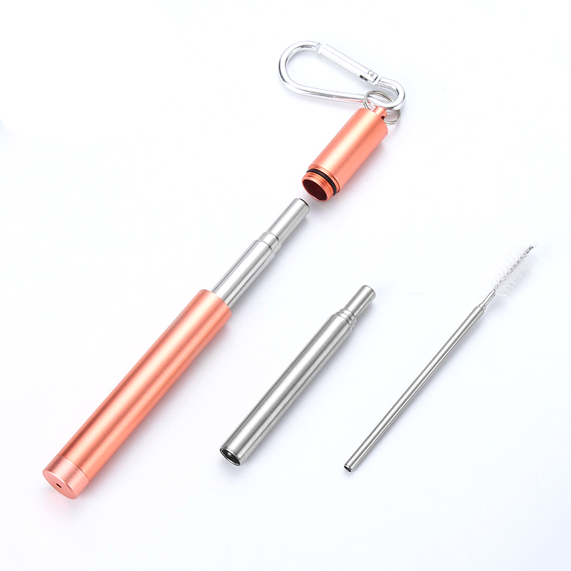 Stainless Steel 304 retractable Straw with Brush